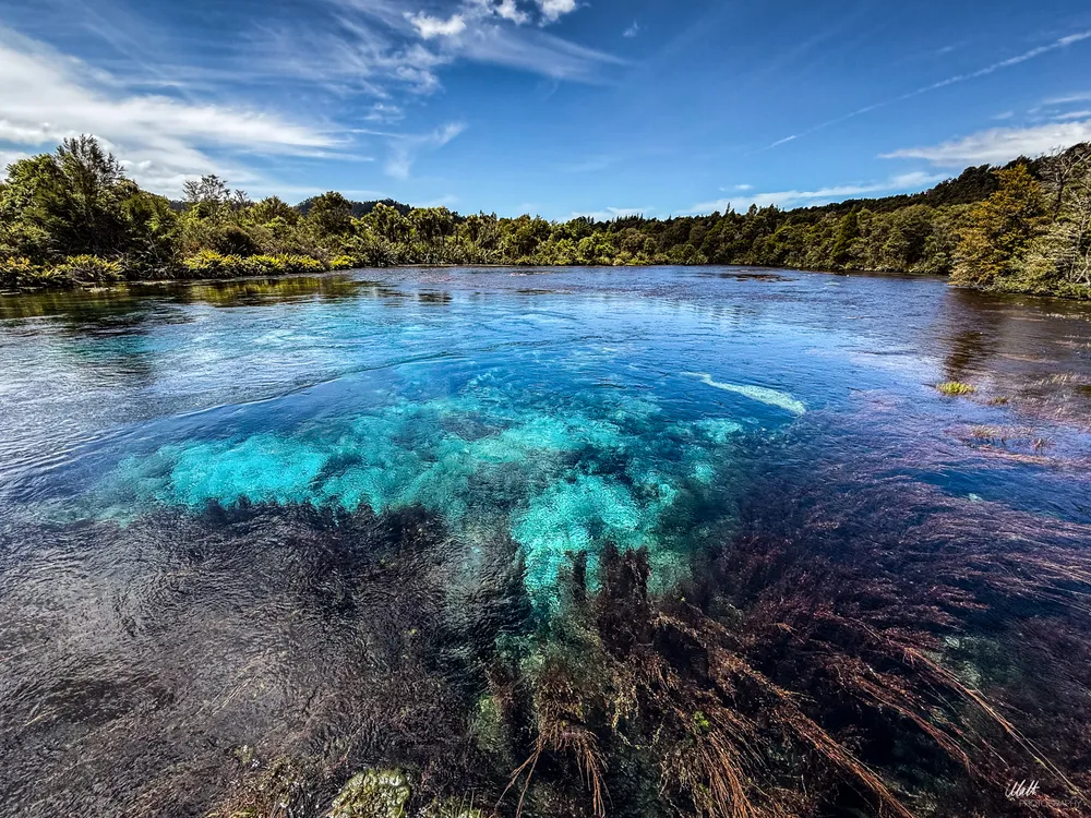 Te Waikoropupū Springs
